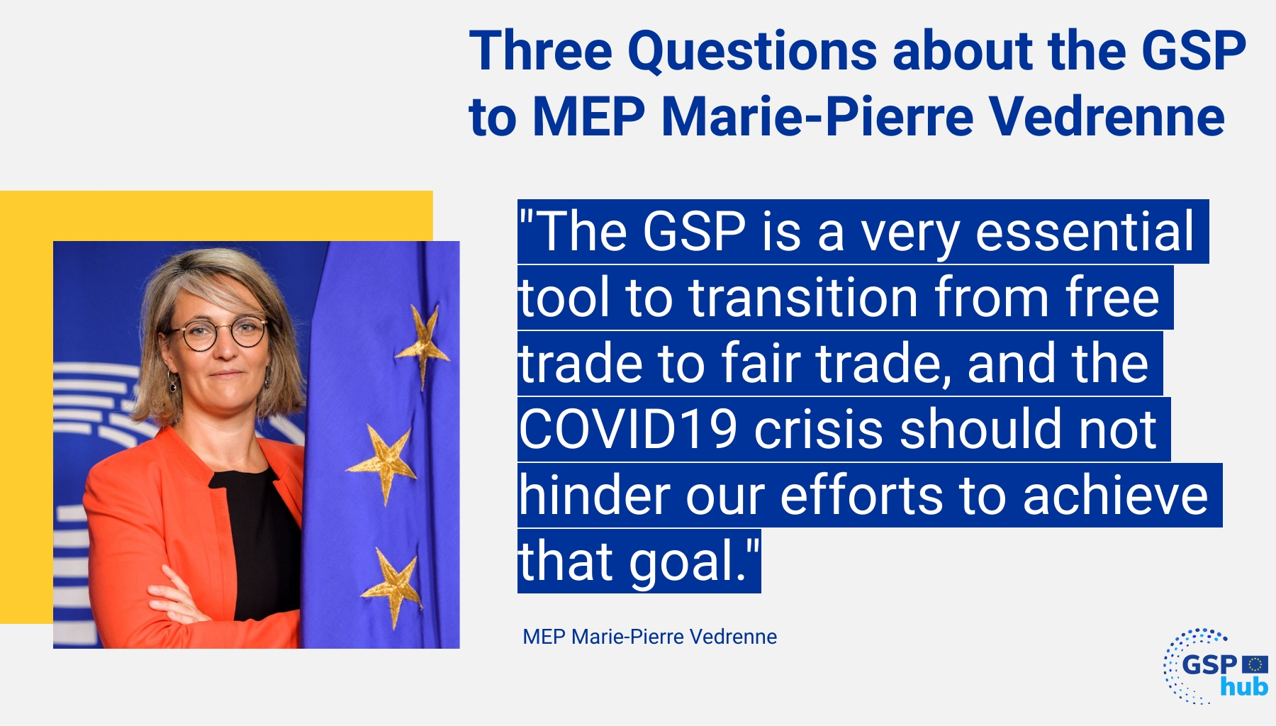 Interview with MEP Marie Pierre Vedrenne gsphub